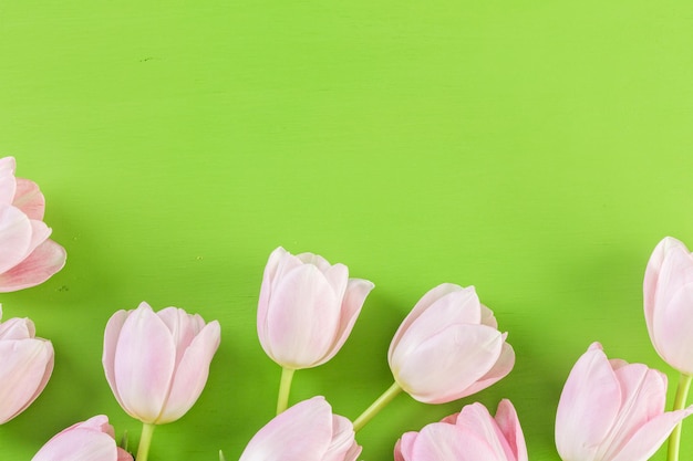 Strauß rosa Tulpen auf grünem Hintergrund.