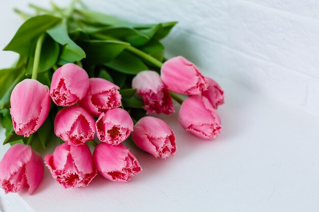 Strauß rosa Tulpen auf weißem Hintergrund