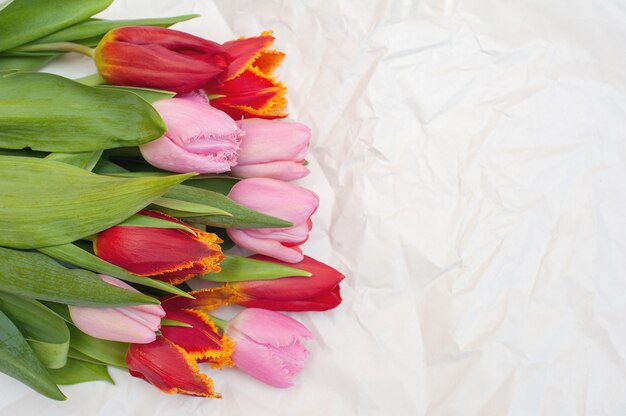 Strauß rosa und roter Tulpen auf einem zerknitterten weißen Papier