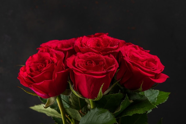 Strauß roter Rosen auf dunklem Hintergrund.