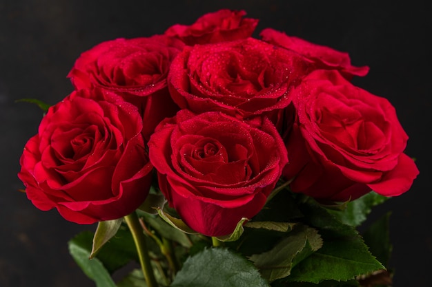 Strauß roter Rosen auf dunklem Hintergrund.