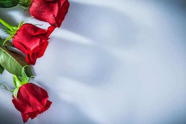 Strauß roter Rosen auf weißem Hintergrund.