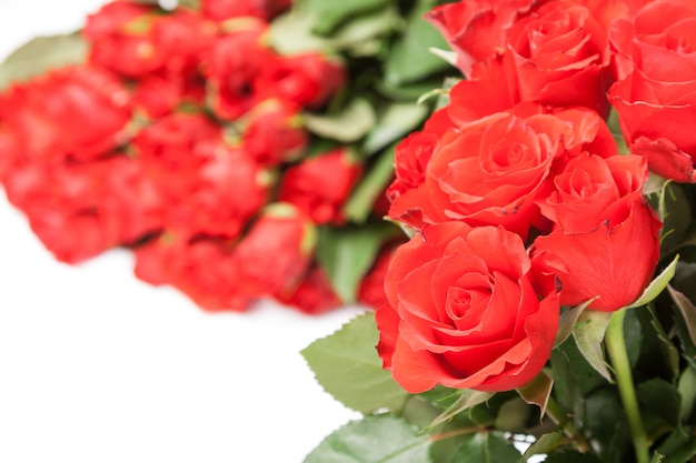 Strauß roter Rosen für romantischen Geschenkhintergrund