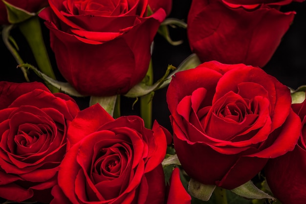 Strauß schöner roter Rosen auf schwarzem Hintergrund