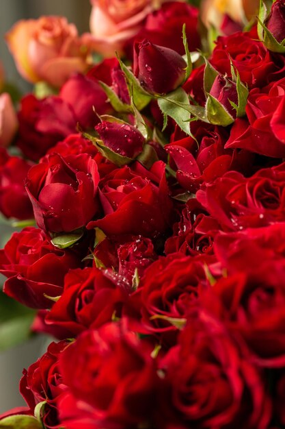 Strauß schöner roter Rosen Trendfarbe klassischer roter Valentinstag Selektiver Fokus Rosen Tapete Hintergrund