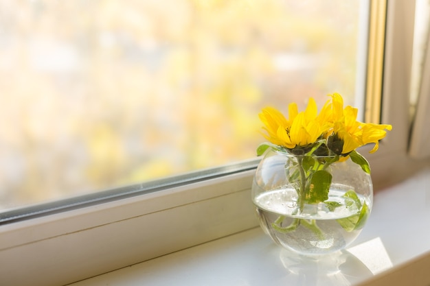 Strauß Sonnenblumen am Fenster zu Hause. Konzept der Natur und Dekoration. Foto in hoher Qualität