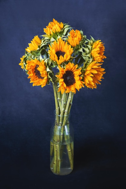 Strauß Sonnenblumen in einer hohen Glasflasche auf dunklem Hintergrund