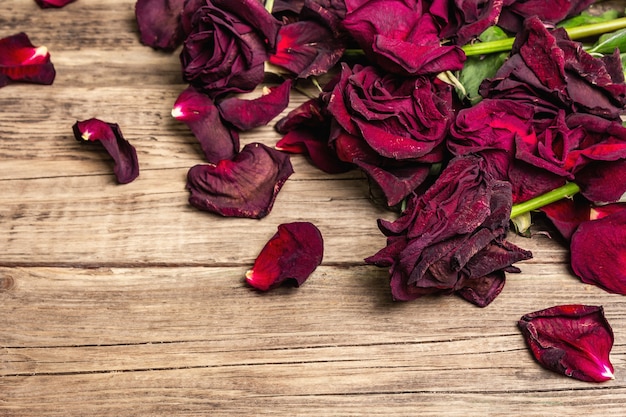 Strauß trockener Burgunderrosen