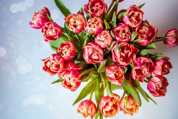 Strauß Tulpen auf Pastellhintergrund