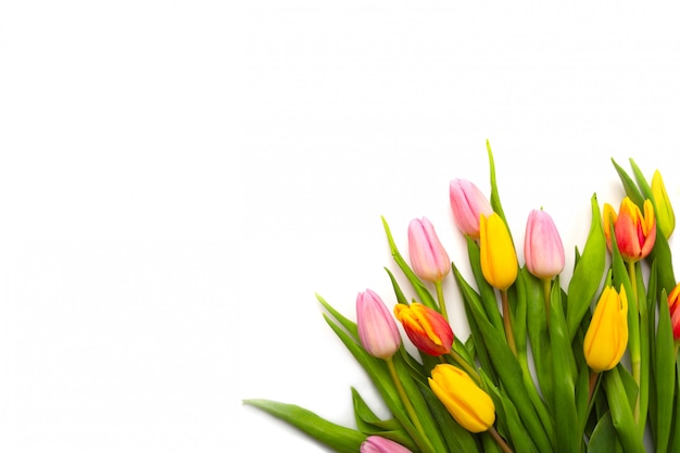 Strauß Tulpen auf weißem Hintergrund. Flache Lage, Draufsicht mit auf Weiß lokalisiertem Copyspace.