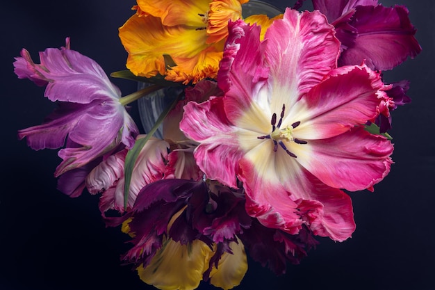 Strauß Tulpen im Papageienstil