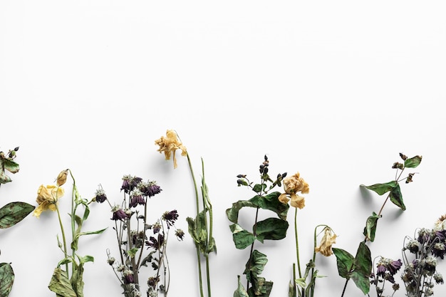 Strauß verwelkter Blumen auf einem weißen Hintergrund