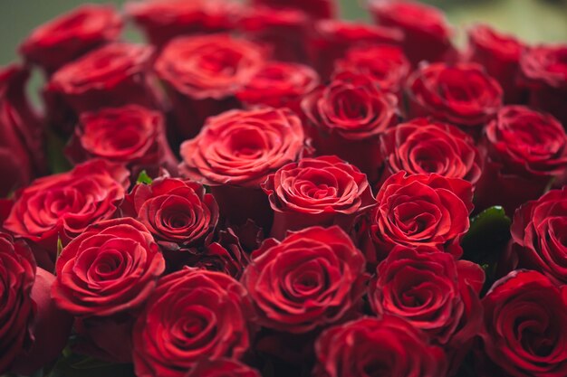 Strauß von hundert roten Rosen Feier der Verlobung oder Hochzeit