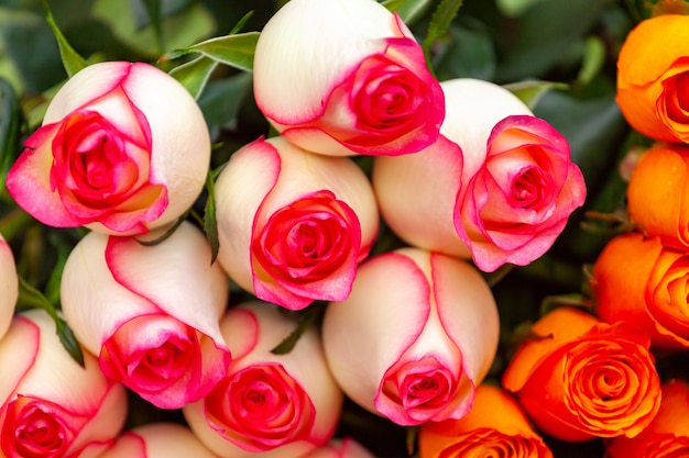 Strauß weißer und roter Rosen auf dem Blumenmarkt,