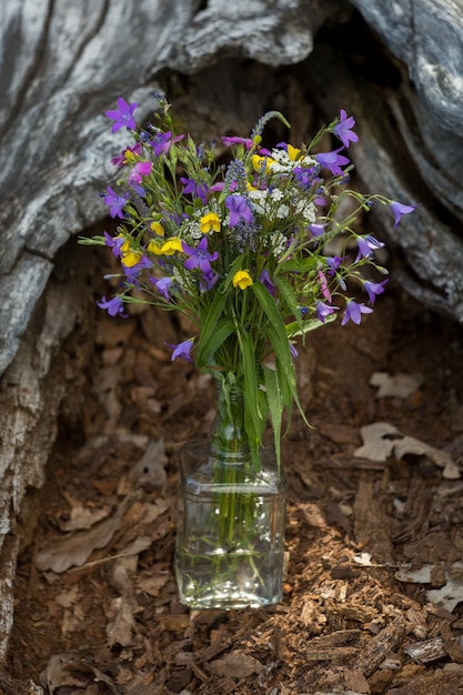 Strauß wilder Blumen in einer Flasche