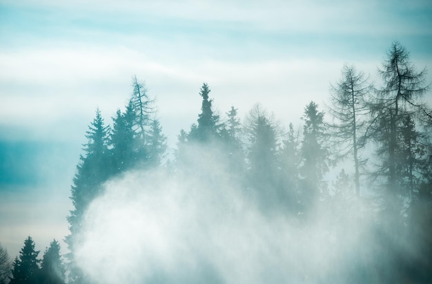 Strbske pleso (estância de esqui do lago Strbske no inverno com área de neve High Tatras.