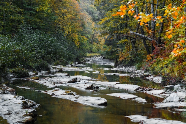 Stream im bunten Herbstwald