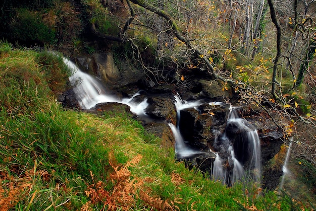 Streamen Sie im Naturpark Gorbeia. Baskenland. Spanien