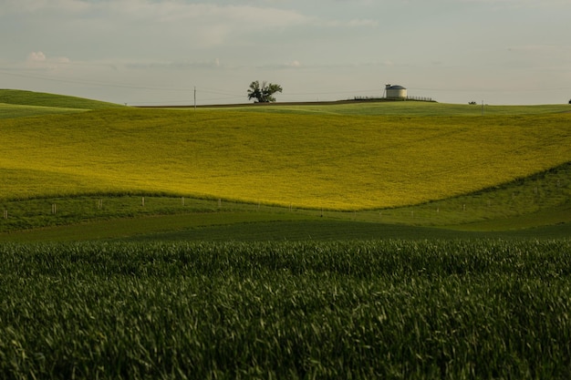 Streifenmuster auf Feldern in Südmähren in frischen Frühlingsfarben in Grün und Gelb