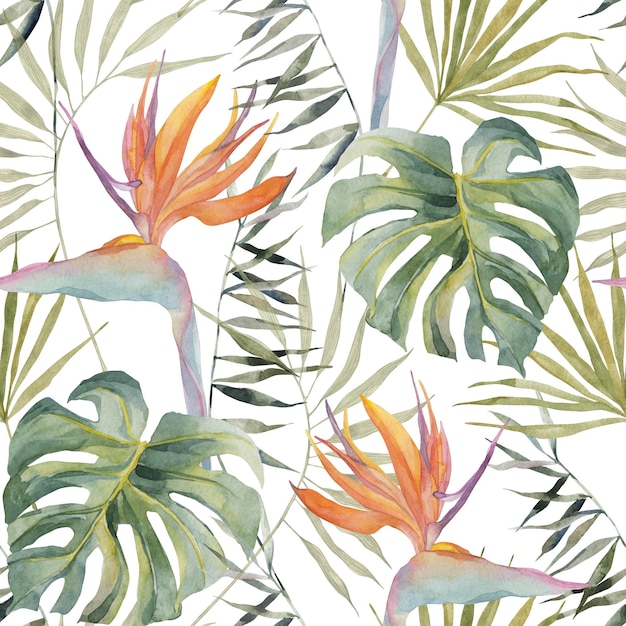 Strelitzia palmera monstera hojas Tropical exótico brillante de patrones sin fisuras Acuarela hecha a mano