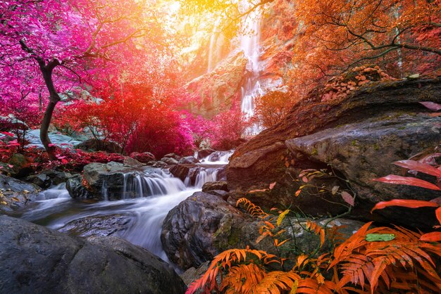 Ströme, Wasserfälle, fließendes Wasser, Herbstlandschaft