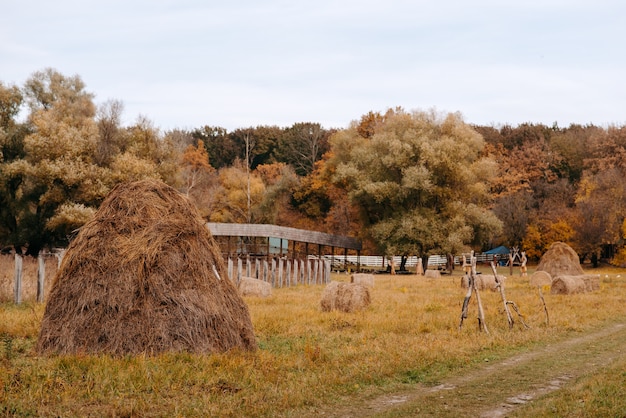 Stroh für Tiere Herbstlandschaft auf dem Bauernhof