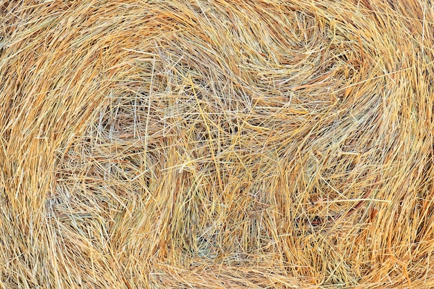 Stroh Hintergrund abstrakte Textur Gras trocken
