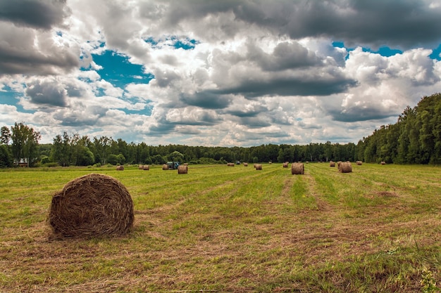 Strohballen auf dem feld heu machen