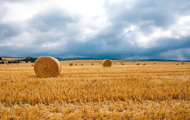 Strohballen auf dem Feld nach der Ernte Naturpanorama