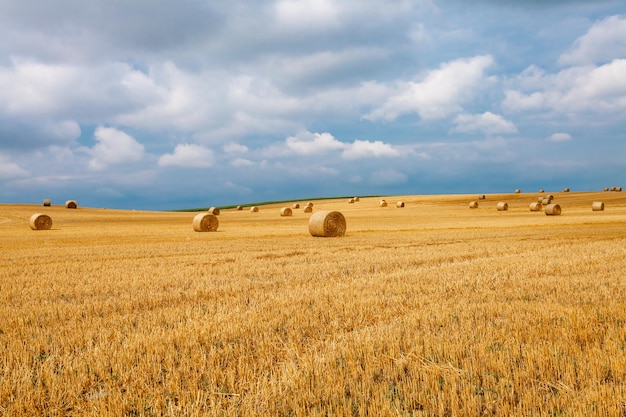 Strohballen auf dem Feld nach der Ernte Naturpanorama