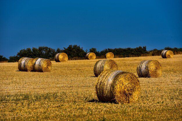 Strohballen Heuhaufen auf landwirtschaftlichen Ackerland gegen blauen Himmel Sättigungsbild