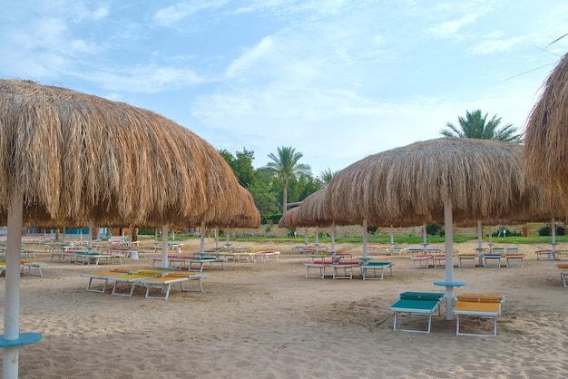 Strohschirme am tropischen Strand mit ruhenden Sonnenliegen vor blauem Himmel im Sommer