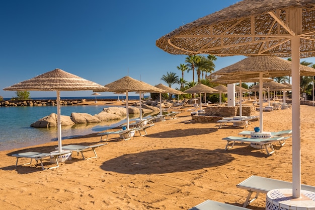 Strohschirme und Liegen am wunderschönen tropischen Strand