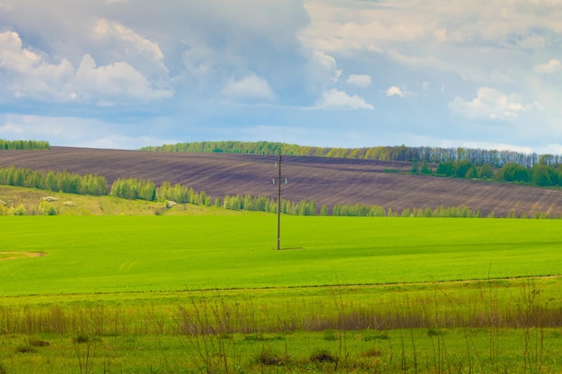 Stromleitungstürme Hochspannungsleitung in einem Feld unter blauem Himmel Landschaft