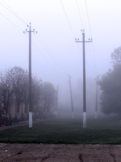 Foto strommast auf dem feld bei nebligem wetter