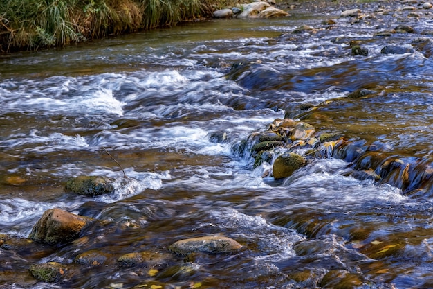 Stromschnellen entlang des Virgin River