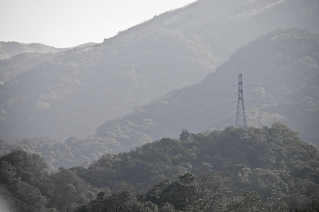 Stromturm im tiefen Wald