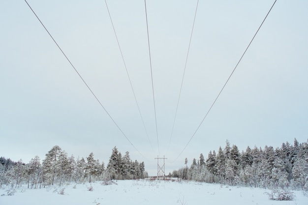 Stromübertragungsleitung im verschneiten Wintertag. Stromtransportkonzept