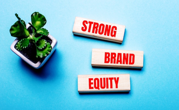 Foto strong brand equity está escrito en bloques de madera sobre un fondo azul claro cerca de una flor en una maceta