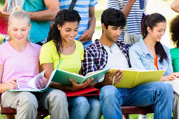 Studenten, die auf Bank studieren