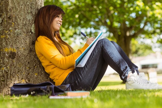 Studentin, die Hausarbeit gegen Baum im Park tut