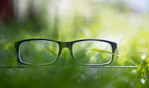 Studieren im Freien Brille auf Buch im Freien im Park Frühlingszeit