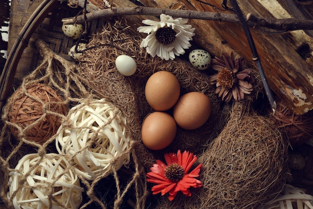 Studio foto de huevos sobre un fondo negro de madera