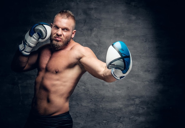 Studioporträt eines bärtigen aggressiven Boxers in Aktion auf grauem Hintergrund.