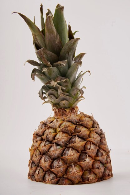 Stück Ananas mit Blättern und Schale