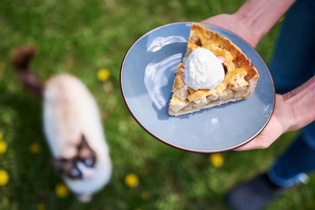 Stück frischer hausgemachter traditioneller Apfelkuchen mit Eis im Freien