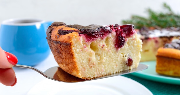 Stück Hüttenkäsekuchen mit Kirschen und Schokoladentropfen. Nahansicht