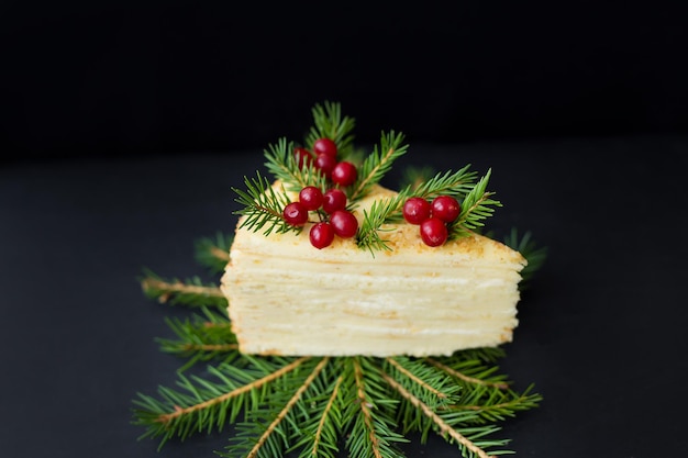 Stück Kuchen verzierten Baum und Beeren auf schwarzem Hintergrund.