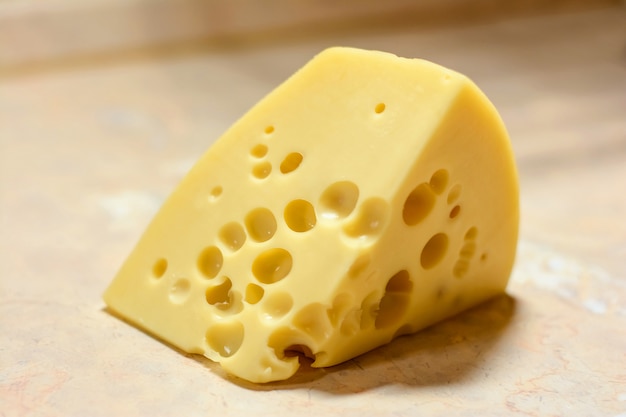 Stück Maasdam-Käse