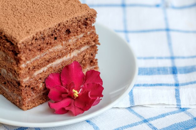 Stück Schokoladenkuchen auf Teller